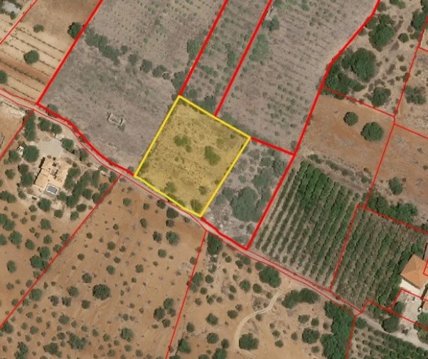 Terreno Agricola ou Rústico para Venda em Conceição e Estoi Planta 1