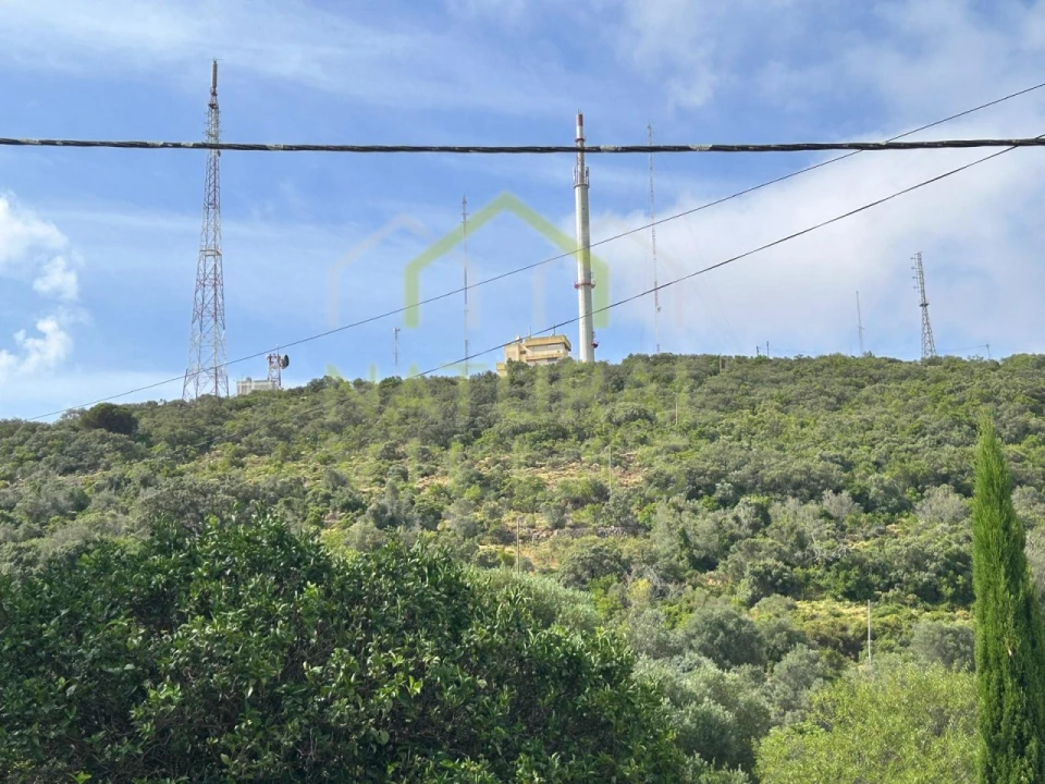 Terreno Agricola ou Rústico para Venda em Moncarapacho e Fuseta Foto 1