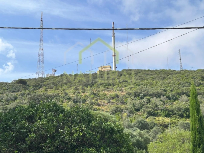 Terreno Agricola ou Rústico para Venda em Moncarapacho e Fuseta Foto 1