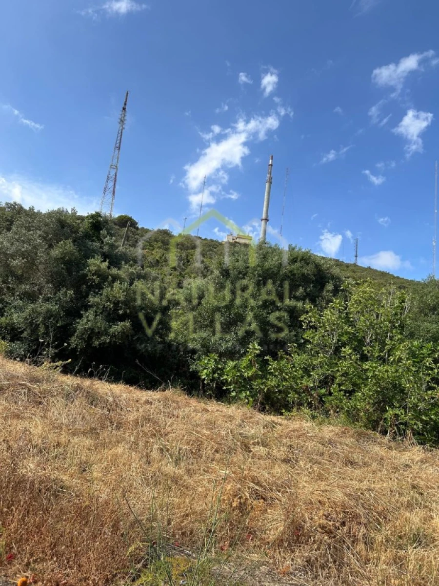 Terreno Agricola ou Rústico para Venda em Moncarapacho e Fuseta Foto 2