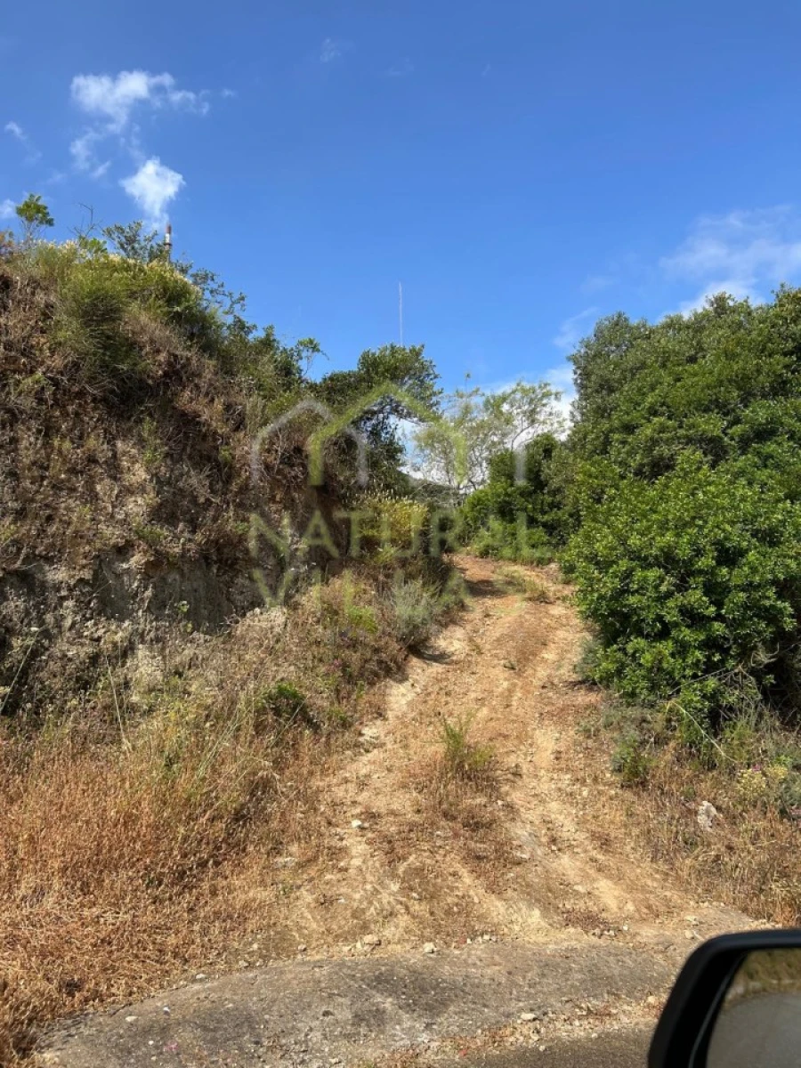 Terreno Agricola ou Rústico para Venda em Moncarapacho e Fuseta Foto 3