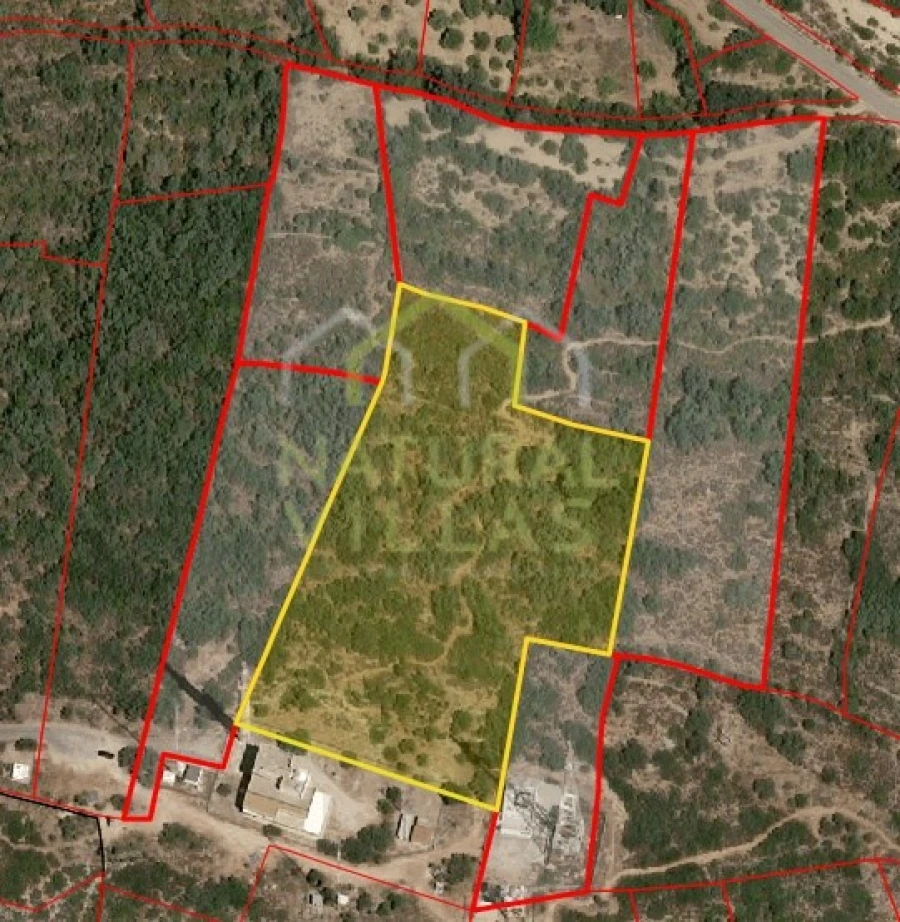 Terreno Agricola ou Rústico para Venda em Moncarapacho e Fuseta Foto 4