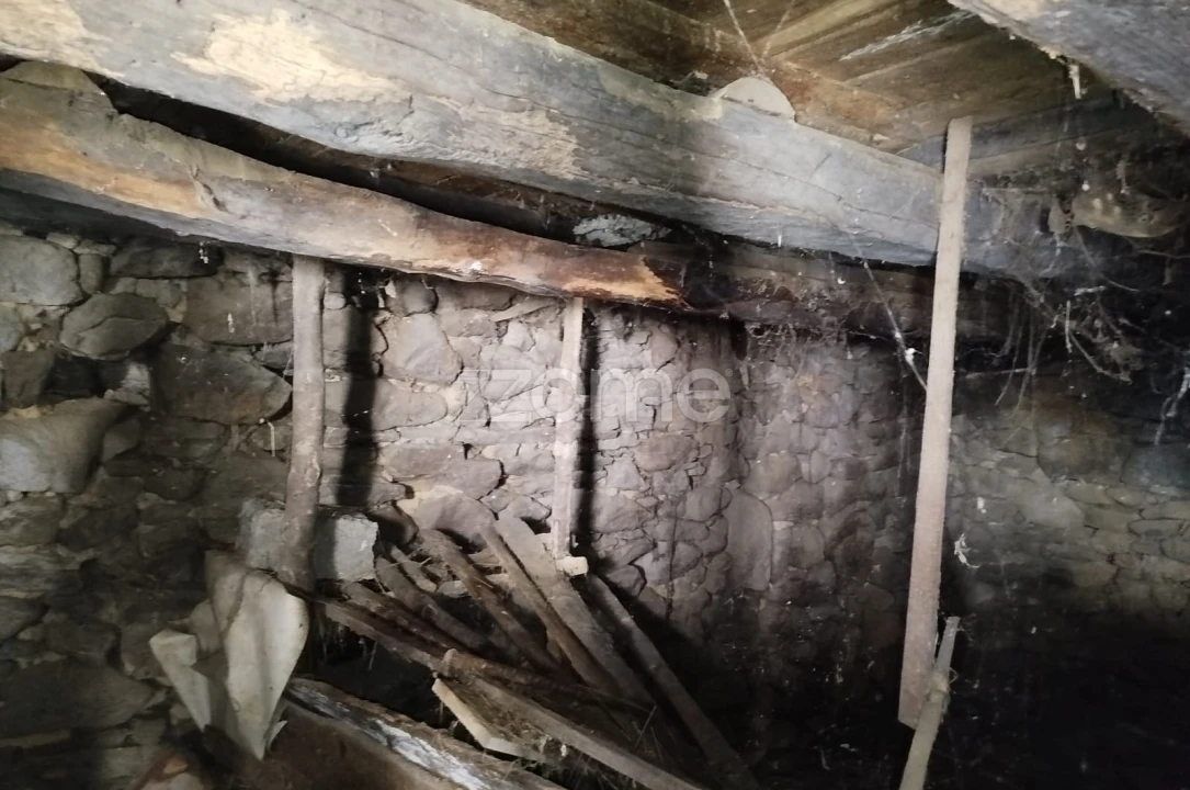 Prédio para Venda em Satão Foto 21