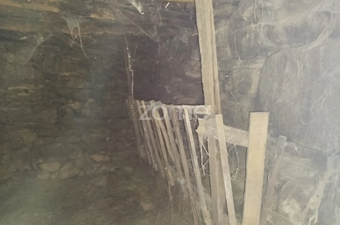 Prédio para Venda em Satão Foto 23