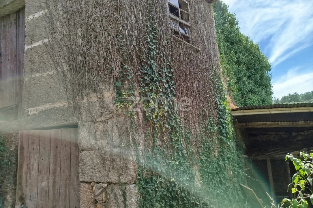 Prédio para Venda em Satão Foto 5