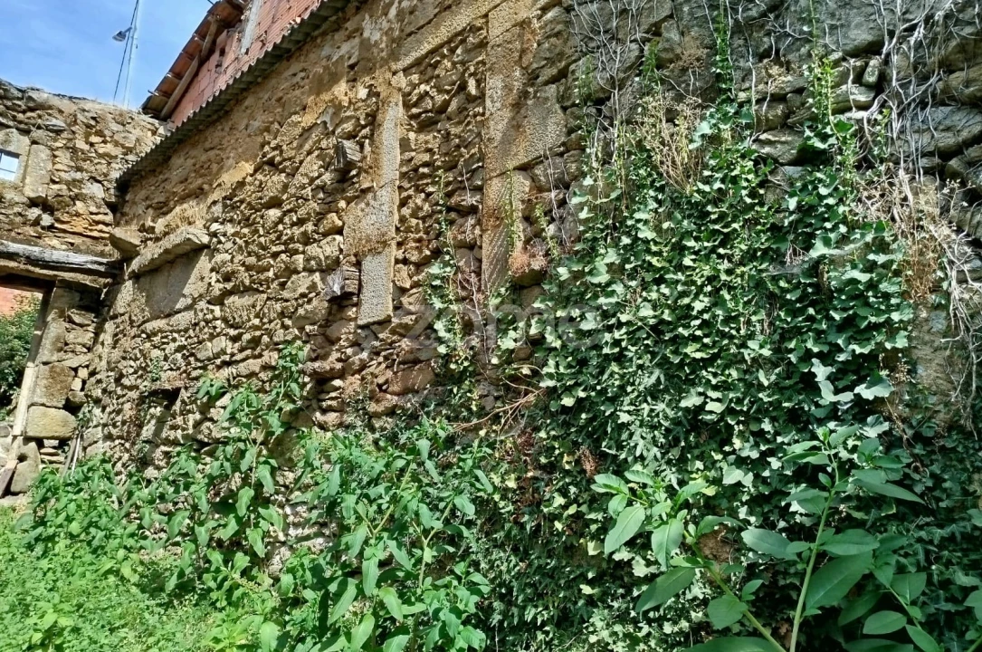 Prédio para Venda em Satão Foto 6