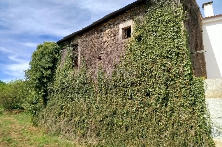 Prédio para Venda em Satão Foto 3