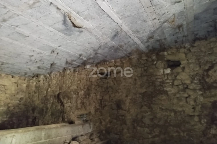 Prédio para Venda em Satão Foto 15