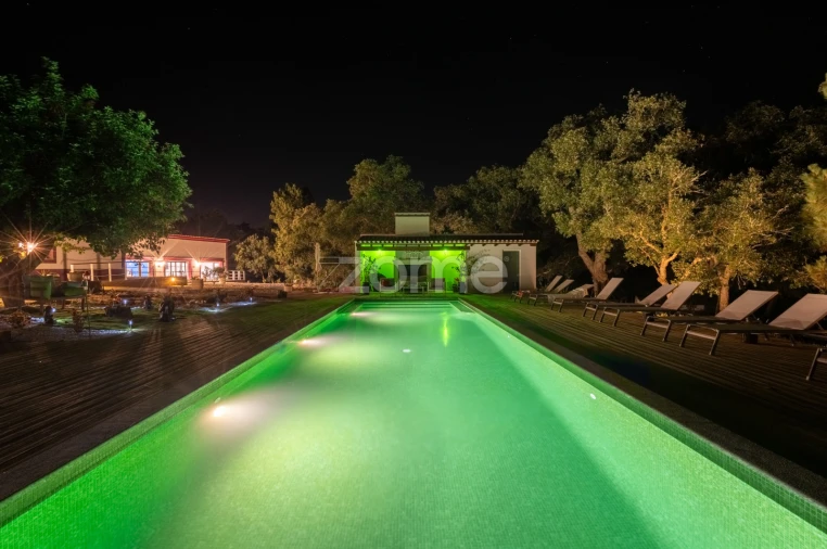 Quinta T7 para Venda em Santo Andre Foto 12