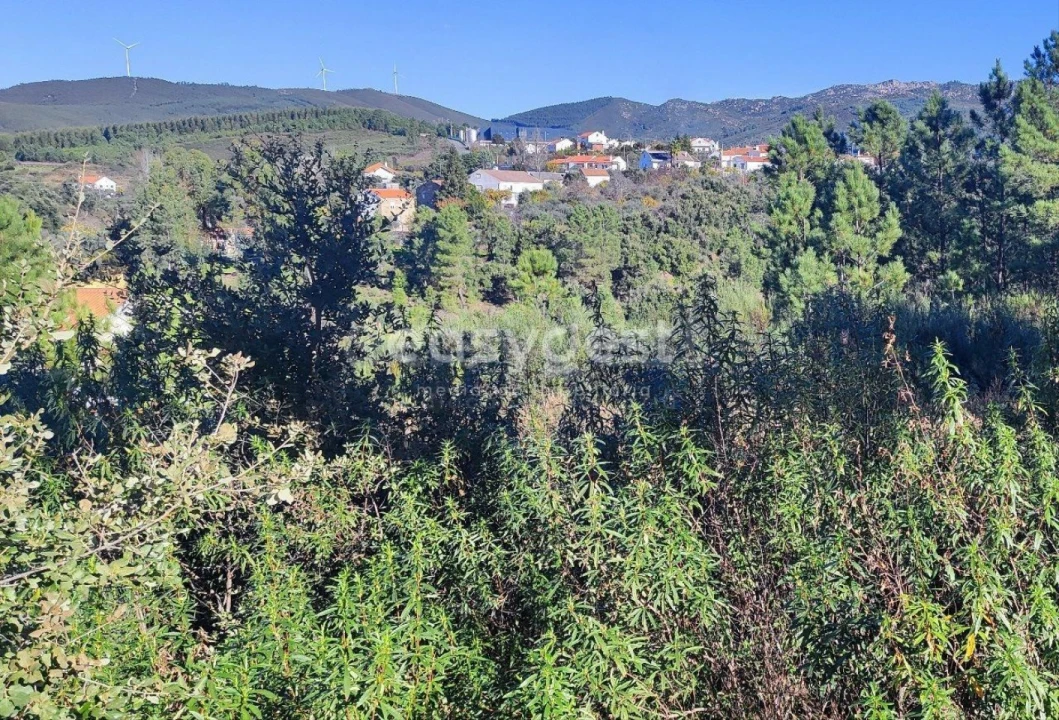 Terreno para Venda em São Vicente da Beira Foto 6