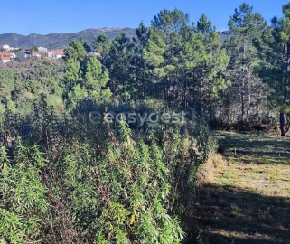 Terreno para Venda em São Vicente da Beira