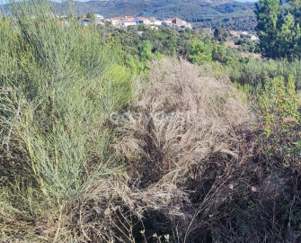 Terreno para Venda em São Vicente da Beira