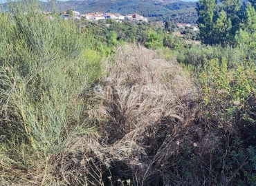 Terreno para Venda em São Vicente da Beira
