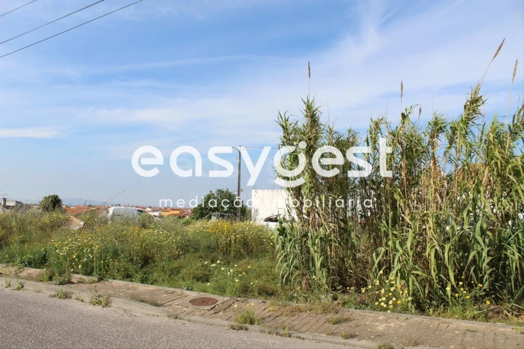 Terreno para Venda em Fazendas de Almeirim Foto 24