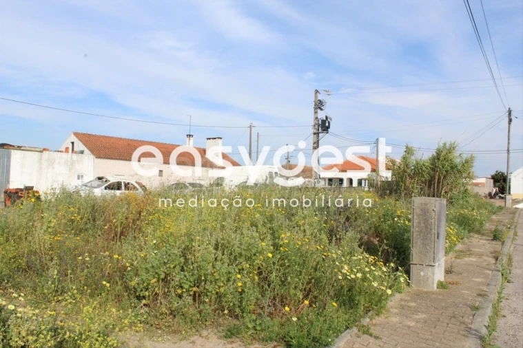 Terreno para Venda em Fazendas de Almeirim Foto 3