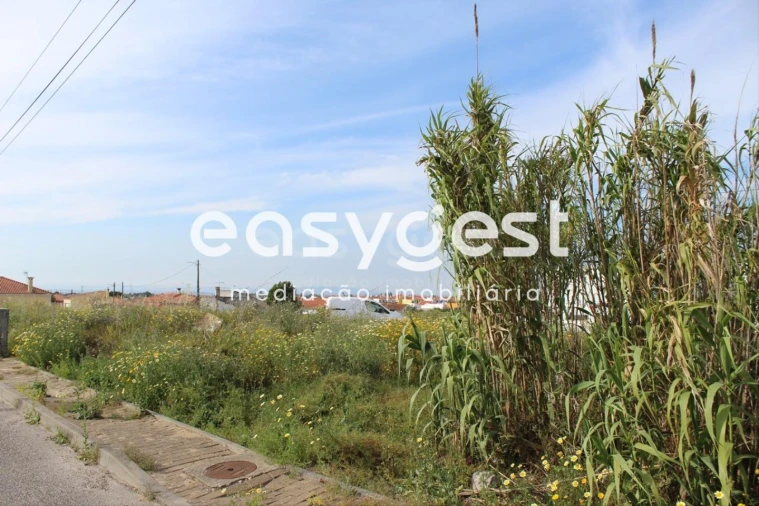 Terreno para Venda em Fazendas de Almeirim Foto 4