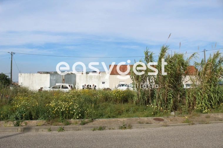 Terreno para Venda em Fazendas de Almeirim Foto 5