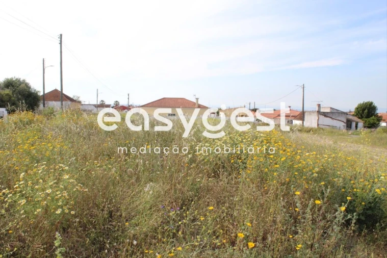 Terreno para Venda em Fazendas de Almeirim Foto 10