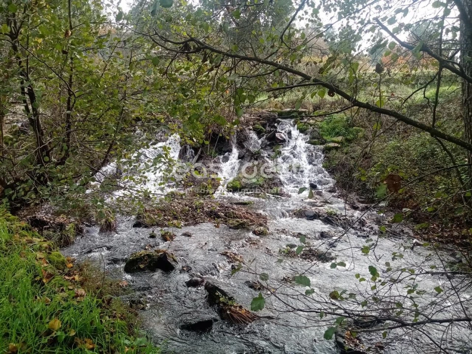 Terreno Agricola ou Rústico para Venda em Póvoa de Rio de Moinhos e Cafede Foto 1