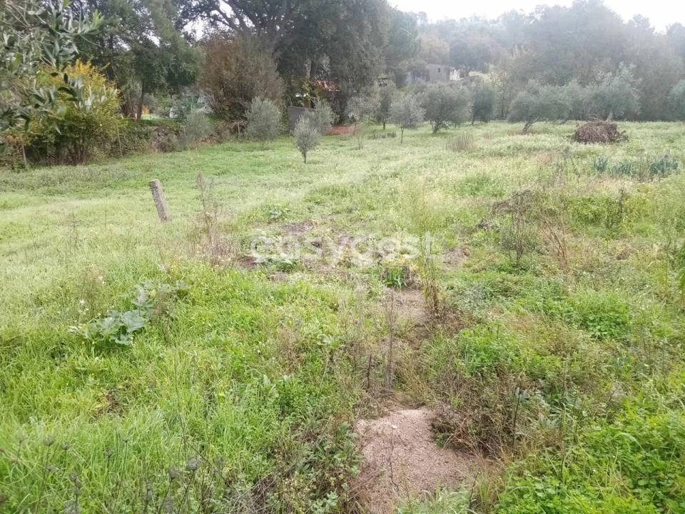 Terreno Agricola ou Rústico para Venda em Póvoa de Rio de Moinhos e Cafede Foto 7