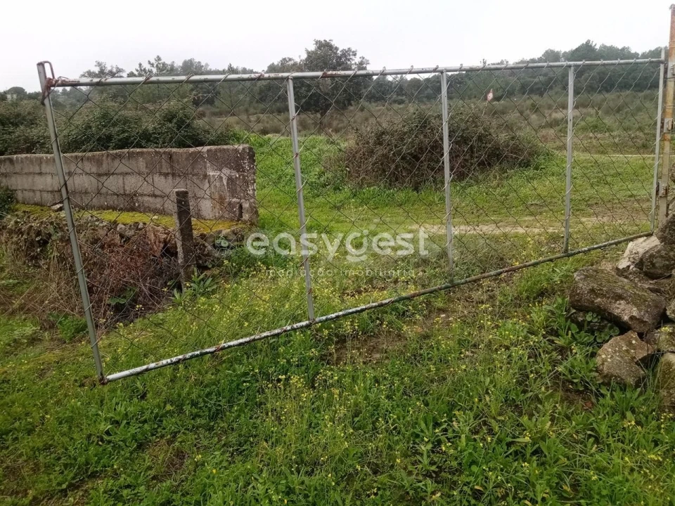 Terreno Agricola ou Rústico para Venda em Póvoa de Rio de Moinhos e Cafede Foto 10
