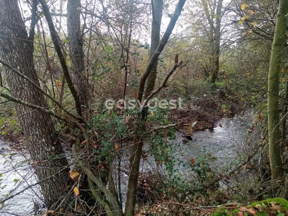 Terreno Agricola ou Rústico para Venda em Póvoa de Rio de Moinhos e Cafede Foto 11