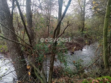 Terreno Agricola ou Rústico para Venda em Póvoa de Rio de Moinhos e Cafede