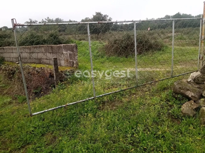 Terreno Agricola ou Rústico para Venda em Póvoa de Rio de Moinhos e Cafede Foto 10