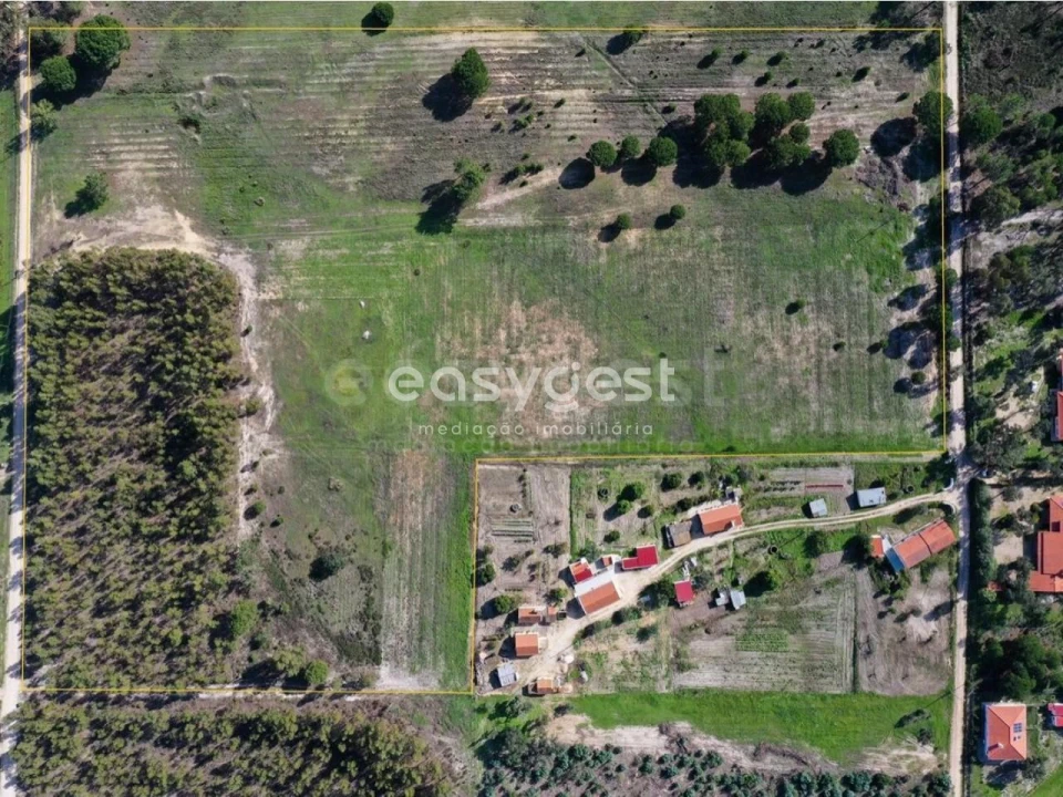 Terreno Misto para Venda em Branca Foto 1