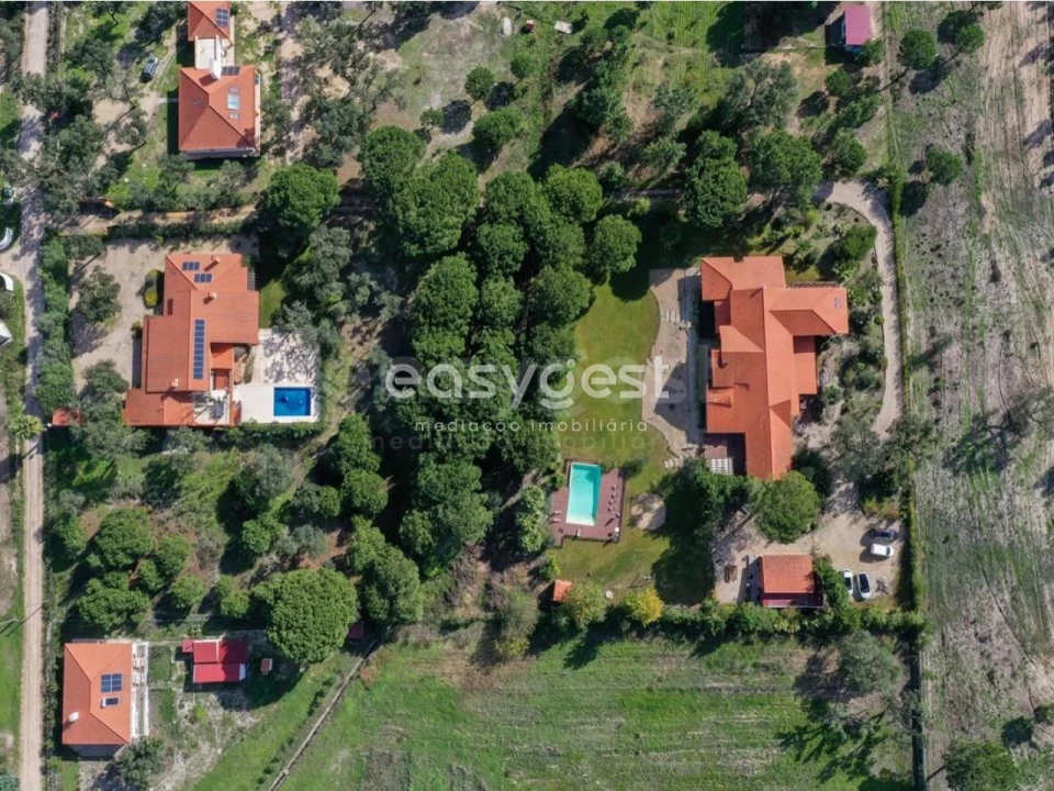 Terreno Misto para Venda em Branca Foto 3