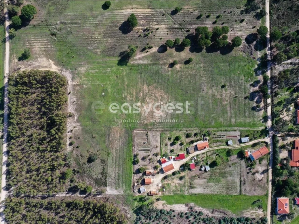 Terreno Misto para Venda em Branca Foto 6
