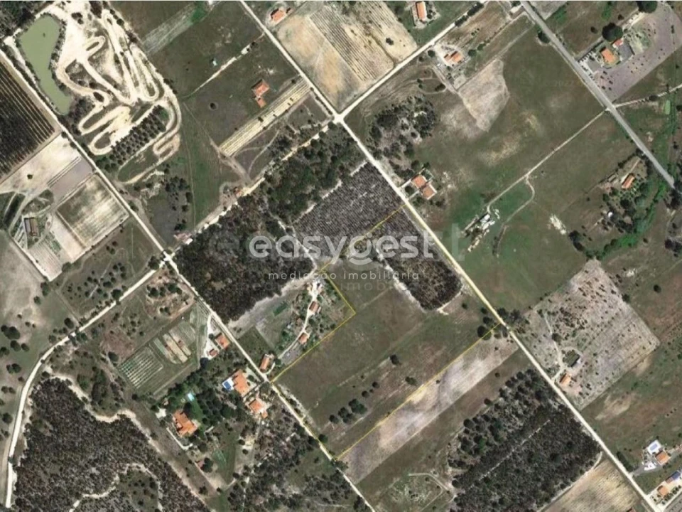 Terreno Misto para Venda em Branca Foto 7