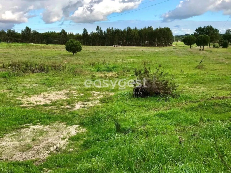 Terreno Misto para Venda em Branca Foto 9