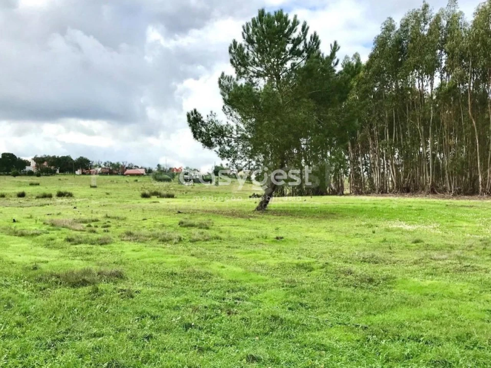Terreno Misto para Venda em Branca Foto 10