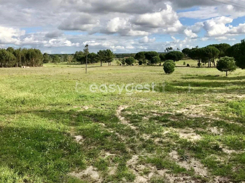 Terreno Misto para Venda em Branca Foto 12