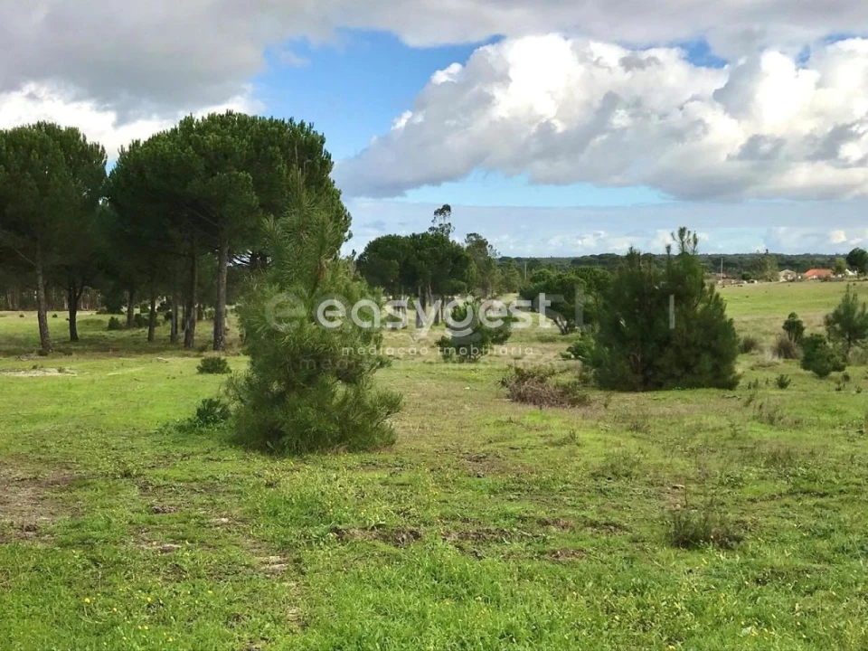 Terreno Misto para Venda em Branca Foto 13