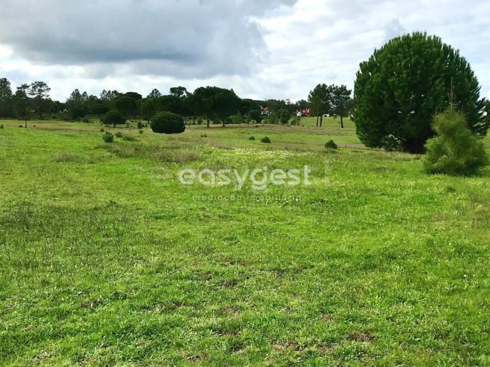 Terreno Misto para Venda em Branca Foto 15