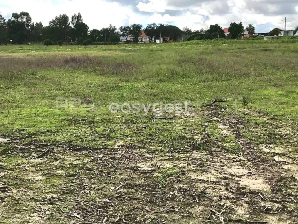 Terreno Misto para Venda em Branca Foto 20