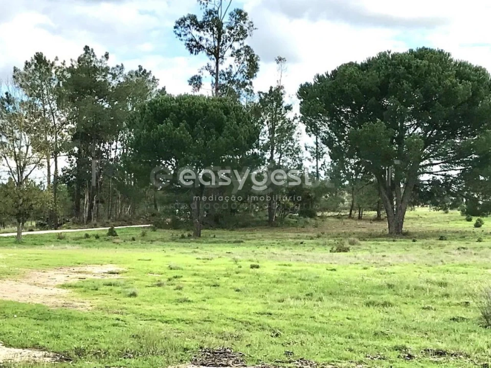 Terreno Misto para Venda em Branca Foto 21