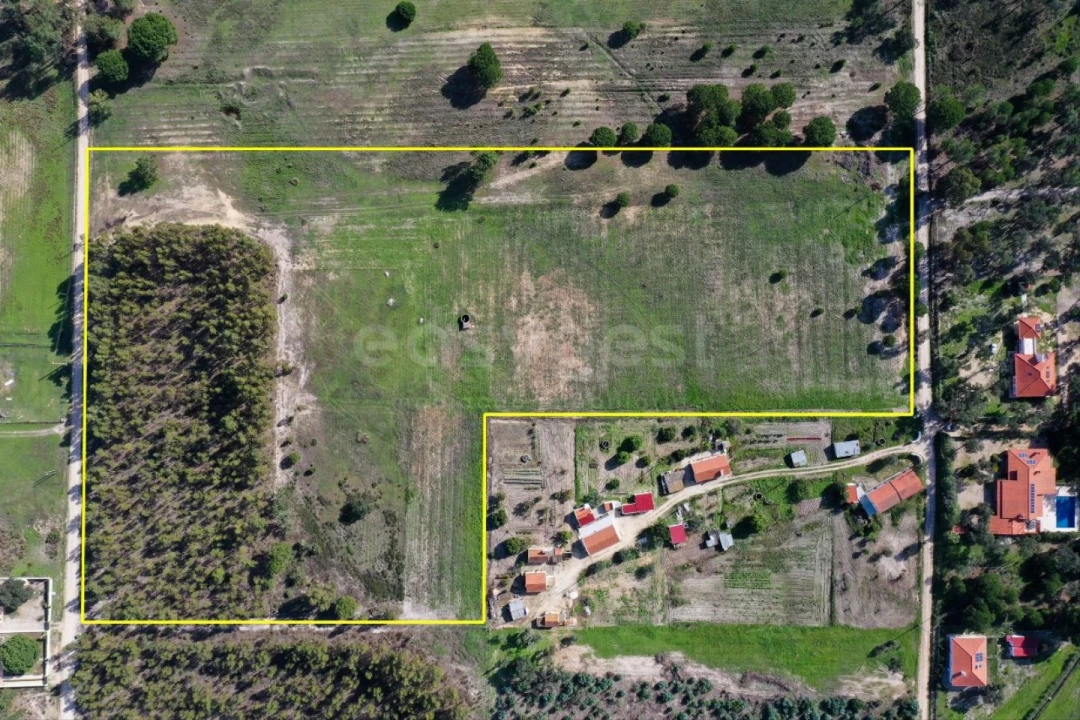 Terreno Misto para Venda em Branca Foto 1