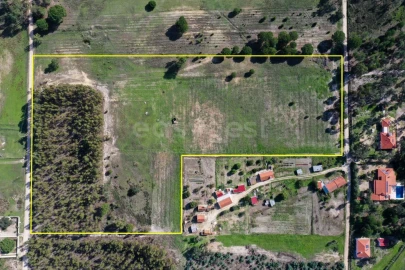 Terreno Misto para Venda em Branca