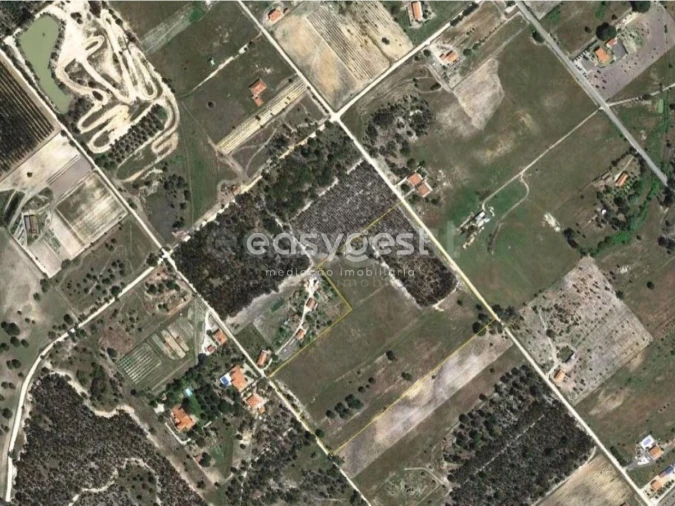 Terreno Misto para Venda em Branca Foto 7