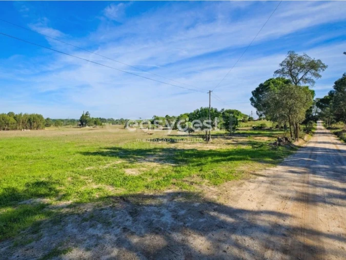 Terreno Misto para Venda em Branca Foto 8