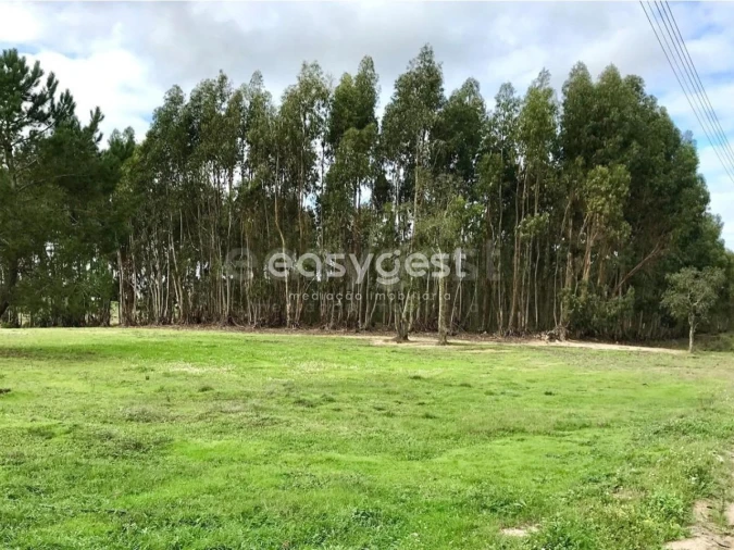 Terreno Misto para Venda em Branca Foto 16