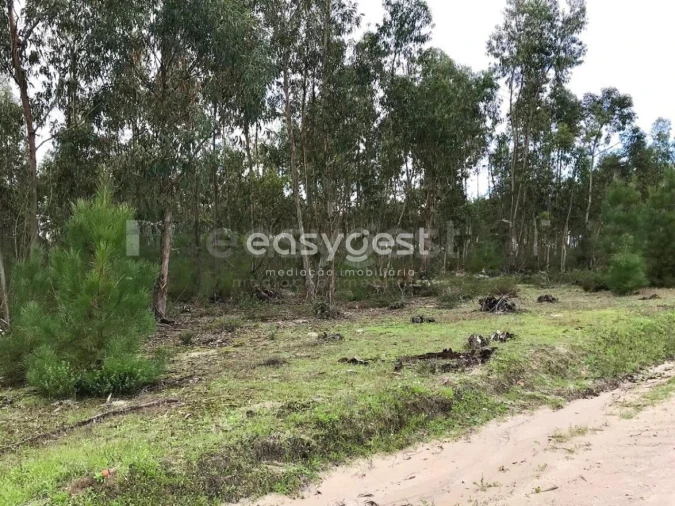 Terreno Misto para Venda em Branca Foto 17