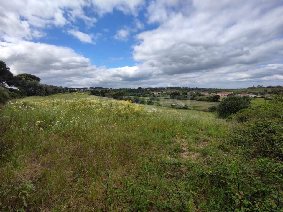 Terreno Agricola ou Rústico para Venda em Alcoentre Foto 5