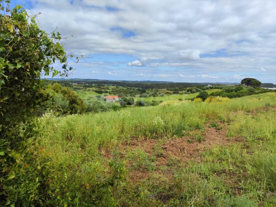 Terreno Agricola ou Rústico para Venda em Alcoentre Foto 6