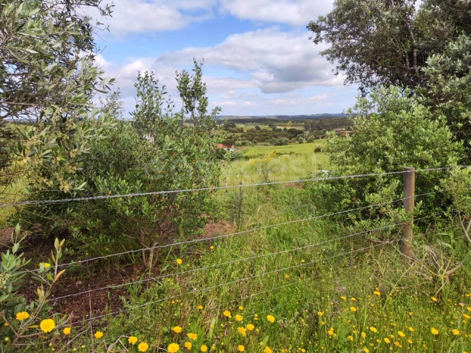 Terreno Agricola ou Rústico para Venda em Alcoentre Foto 7