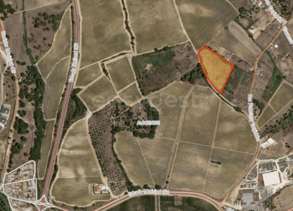 Terreno Agricola ou Rústico para Venda em Alcoentre Foto 9