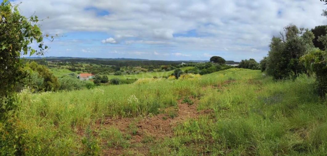 Terreno Agricola ou Rústico para Venda em Alcoentre Foto 1